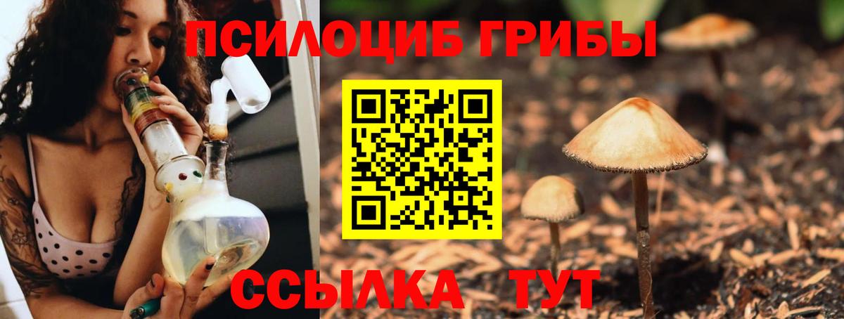 Галлюциногенные грибы GOLDEN TEACHER  Вход с VPN  Уссурийск 